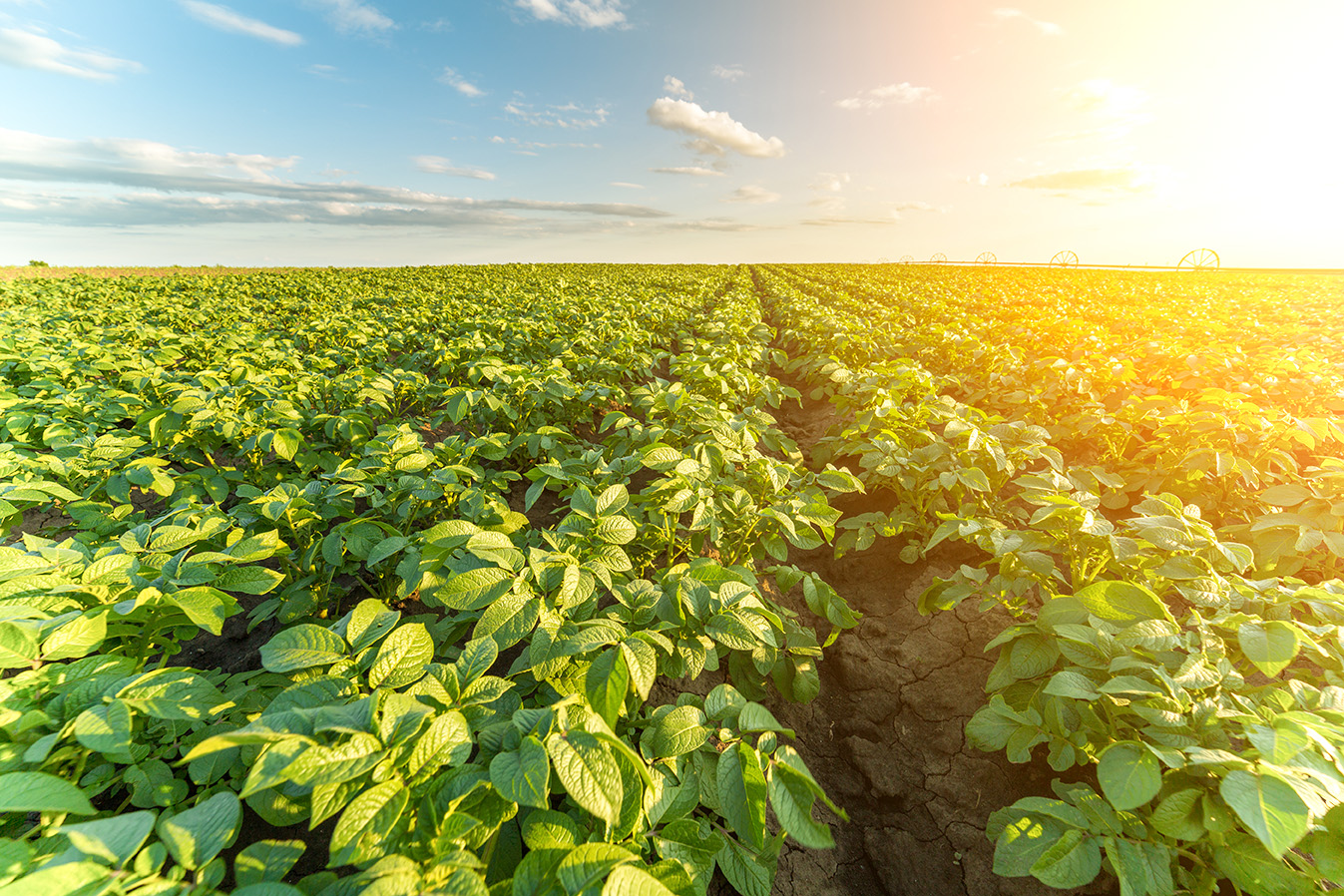 選ばれる理由１